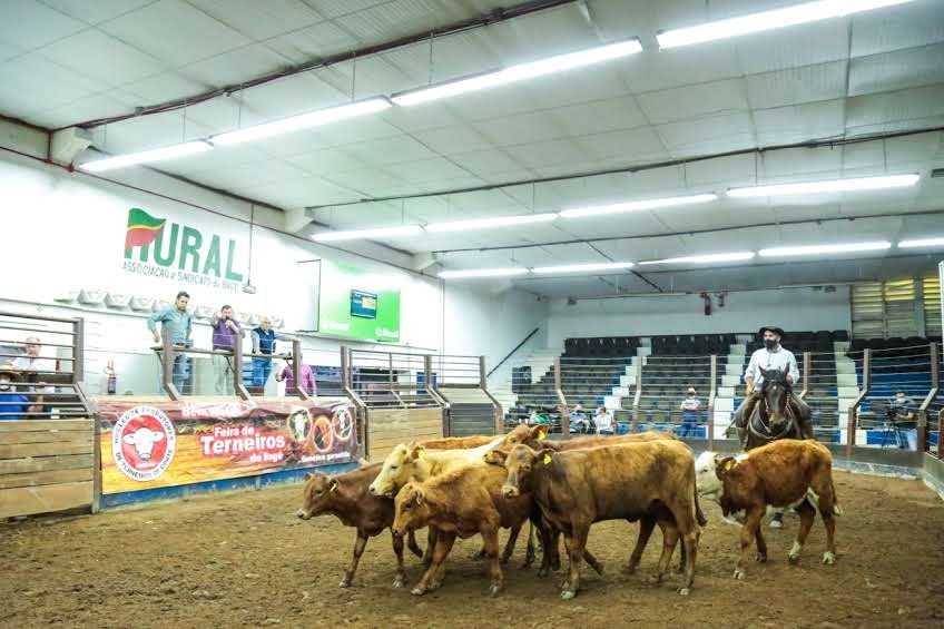 44ª Feira do Terneiro, Terneira e da Vaquilhona 